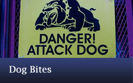 Dog Bites
